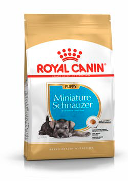 Alimento seco para perros