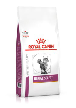 Alimento medicado para gatos