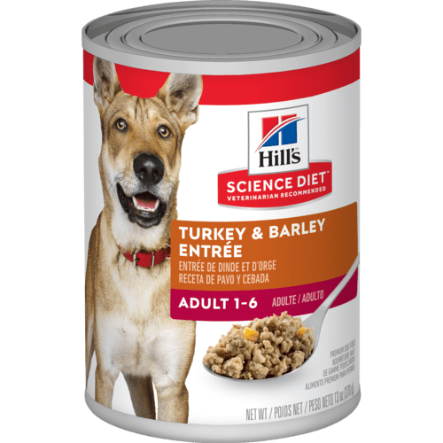 Alimento húmedo para perros