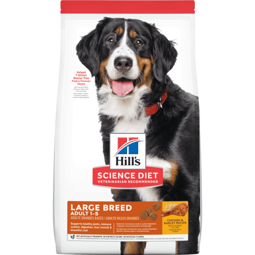Alimento seco para perros